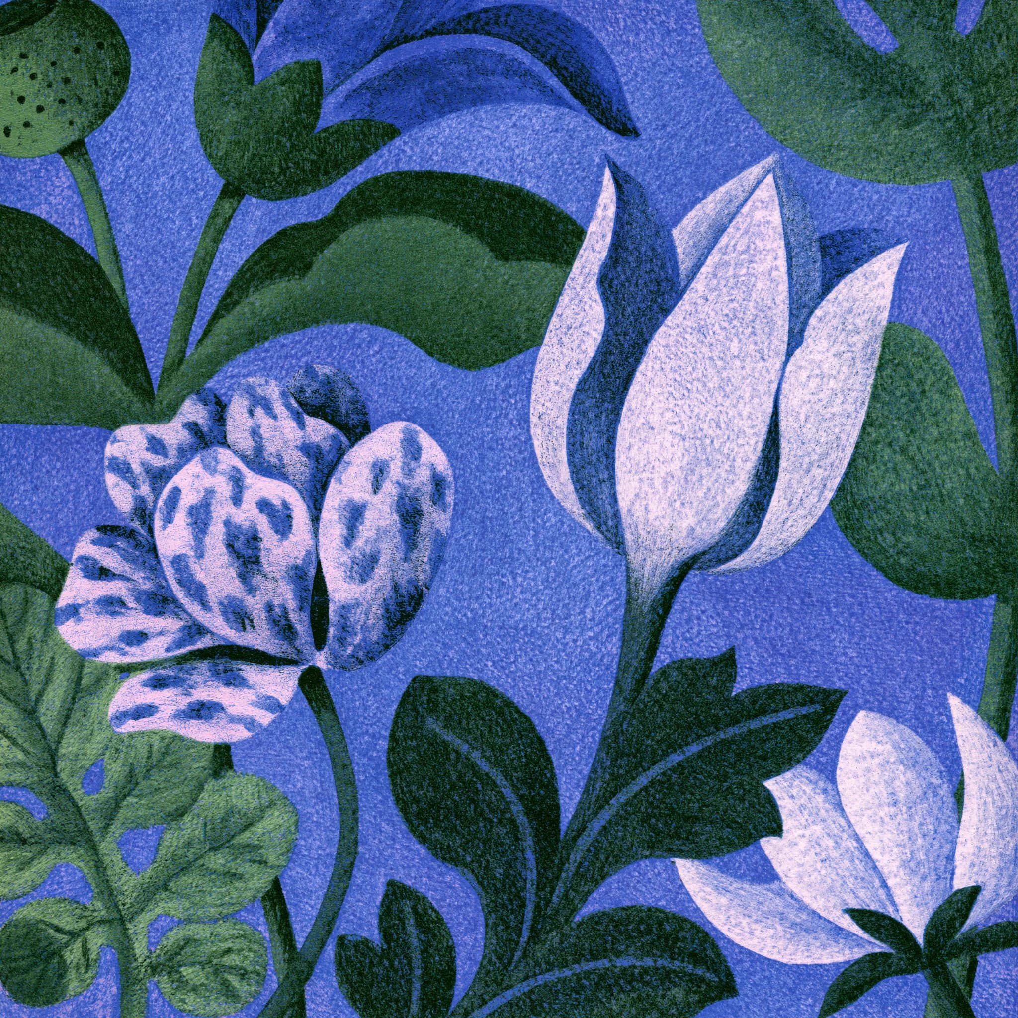 Tatiana Tsiguleva design 1