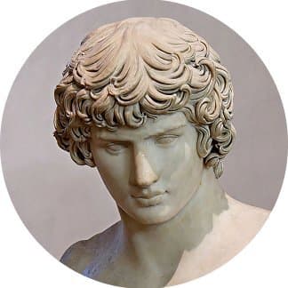Zayden ✧ SaaS Expert